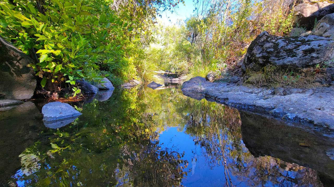 Lot 30 Lack Creek Drive - Photo 1