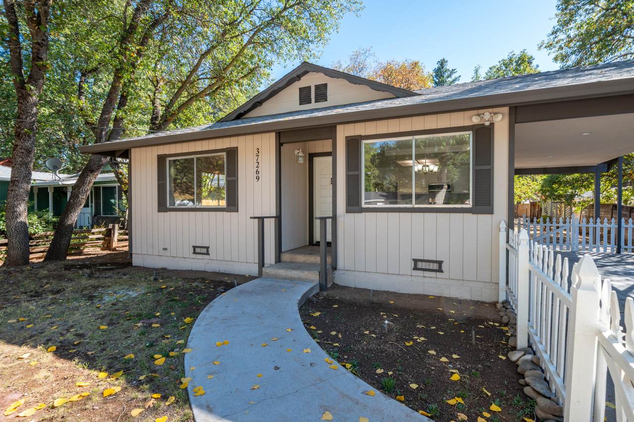 37269 Birch Avenue - Photo 1