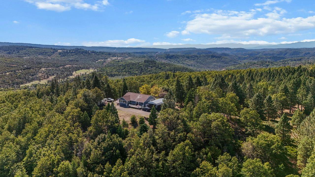 29453 Round Mountain Road - Photo 1