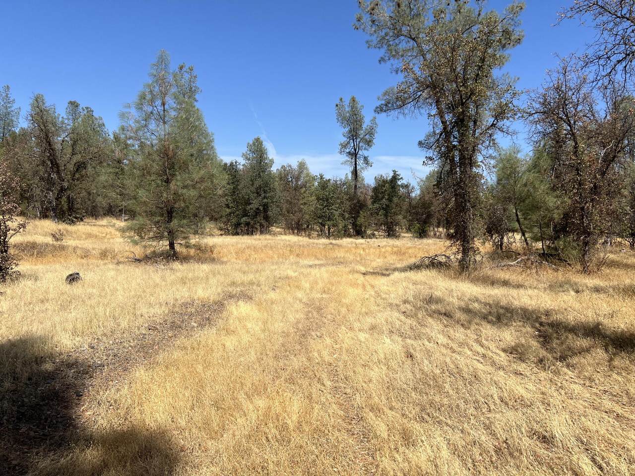 12091 Wanda Lane - Photo 1