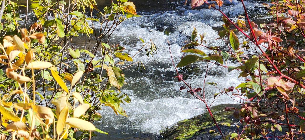 19845 Cinder Pit Road - Photo 1