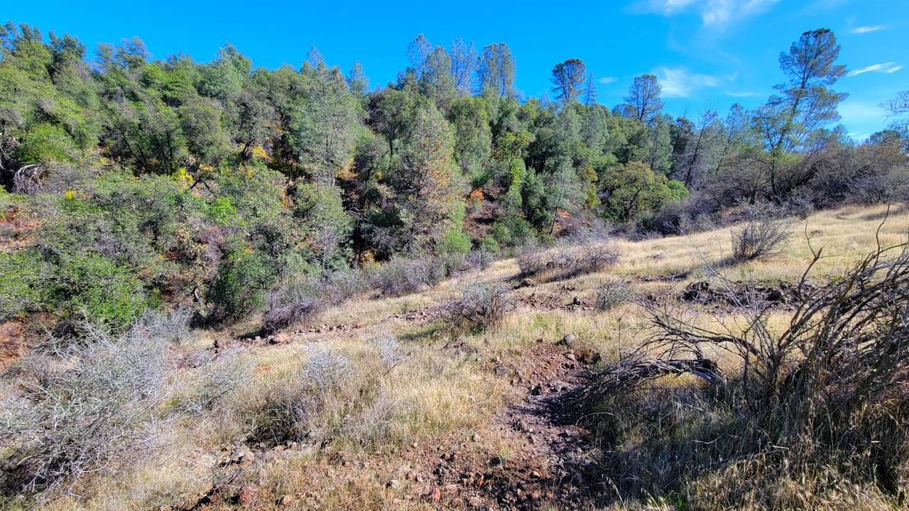 000 Rancheria Creek Road - Photo 1