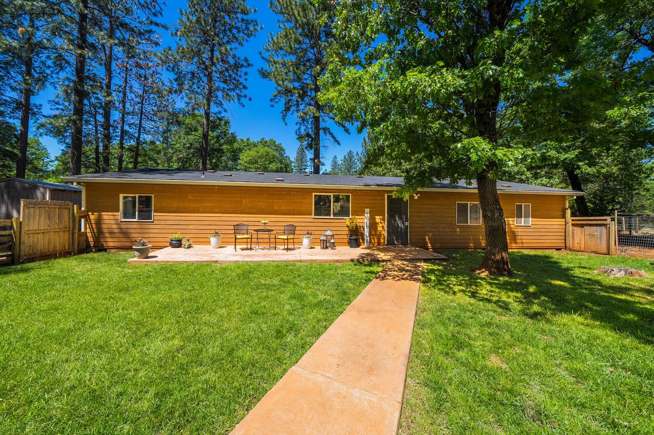 10648 Honey Bear Lane - Photo 1