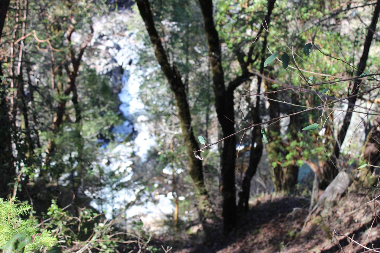  Fenders Ferry Road - Photo 1