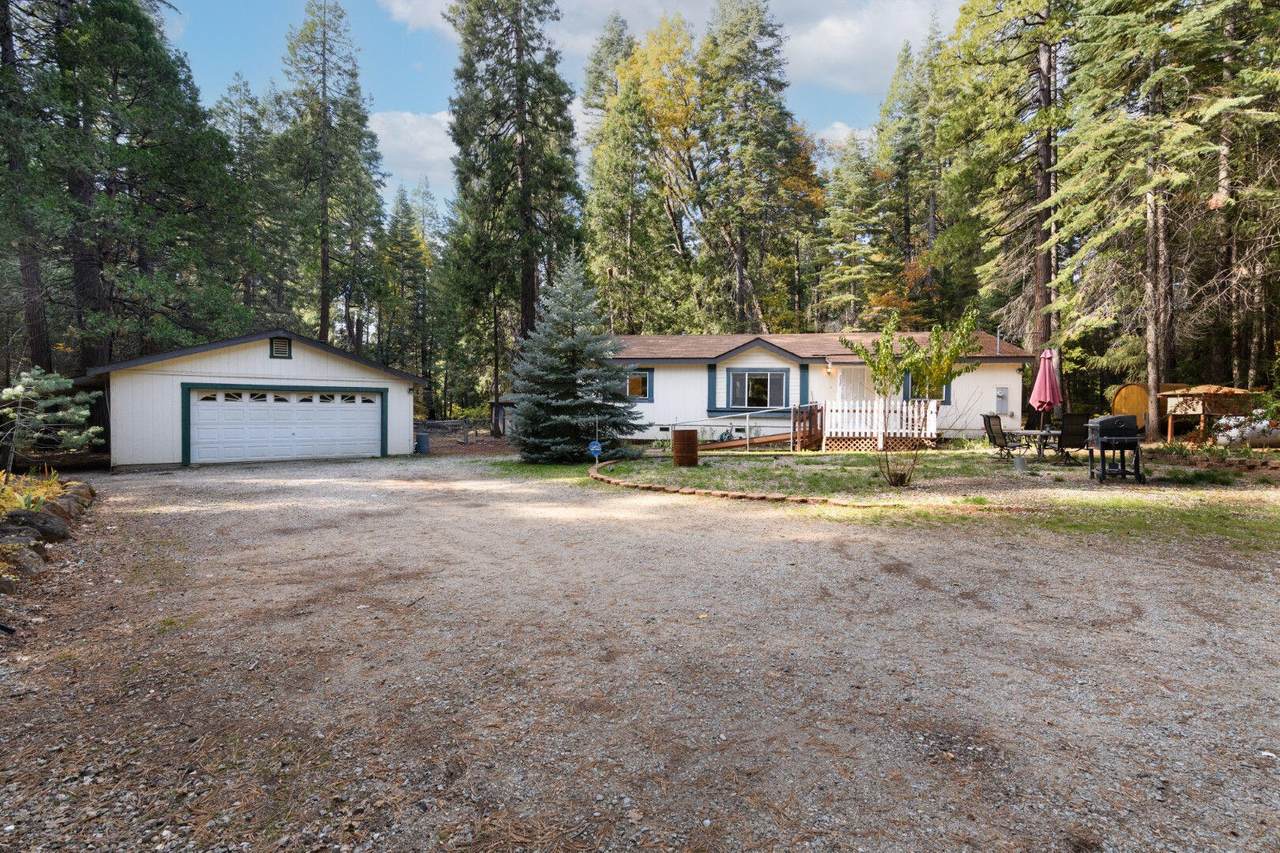 7528 Leaning Cedar Lane - Photo 1