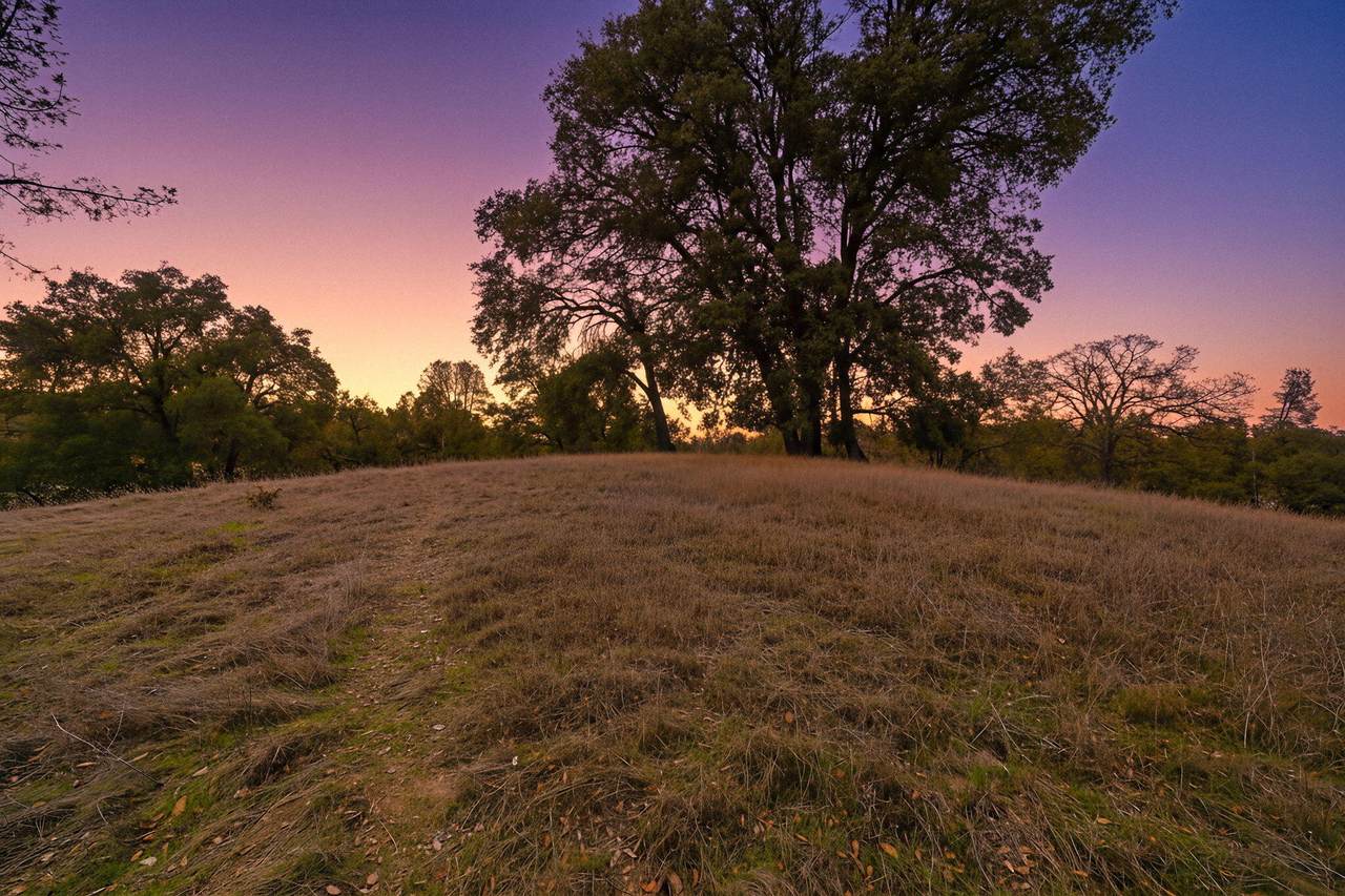  Deer Hollow Court - Photo 1