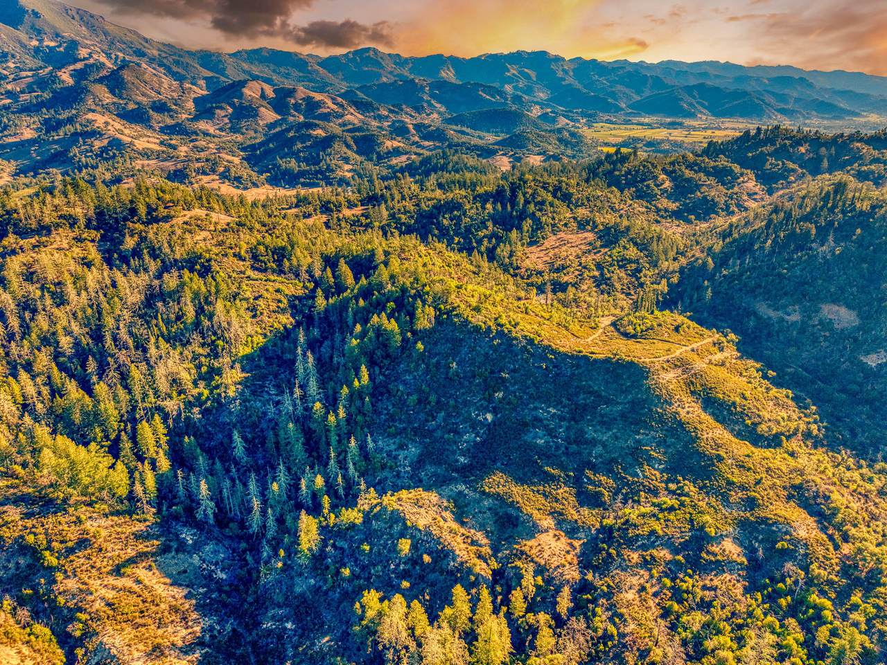 18730 Ca-128 - Photo 1