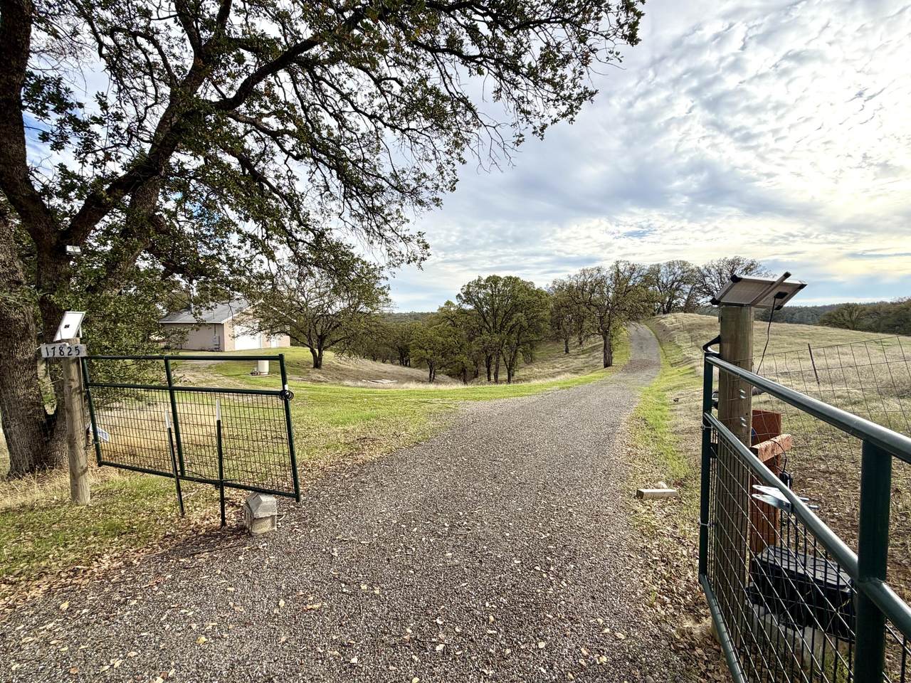 17825 Clearwater Drive - Photo 1