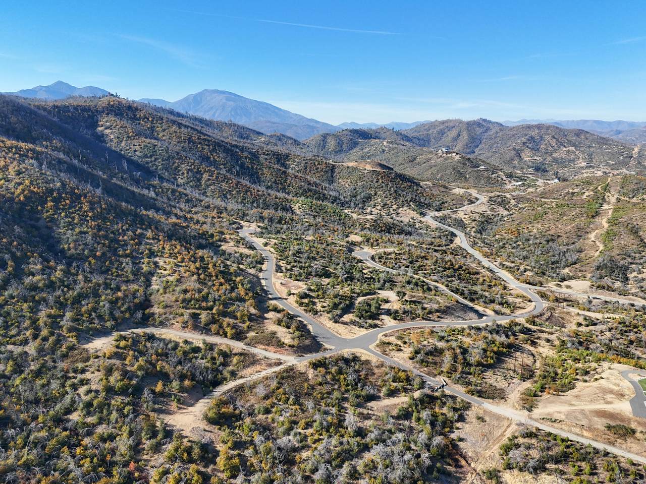  Mule Mountain Parkway - Photo 1