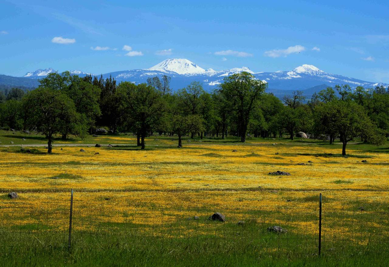 21675 Wildcat Road - Photo 1