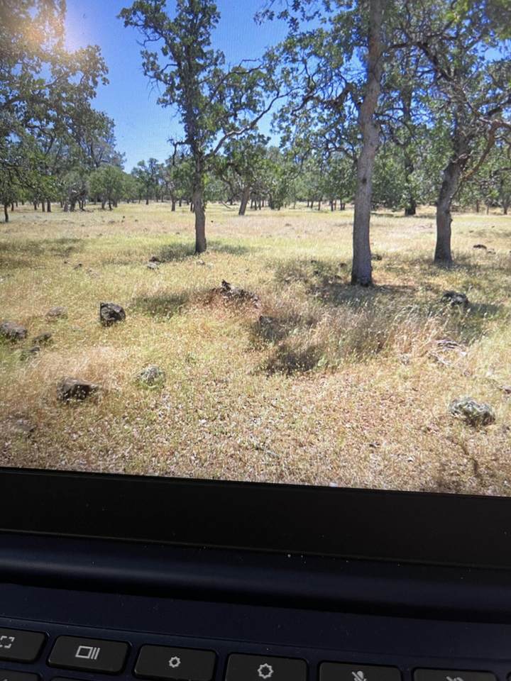  Campo Dios Rd Road - Photo 1