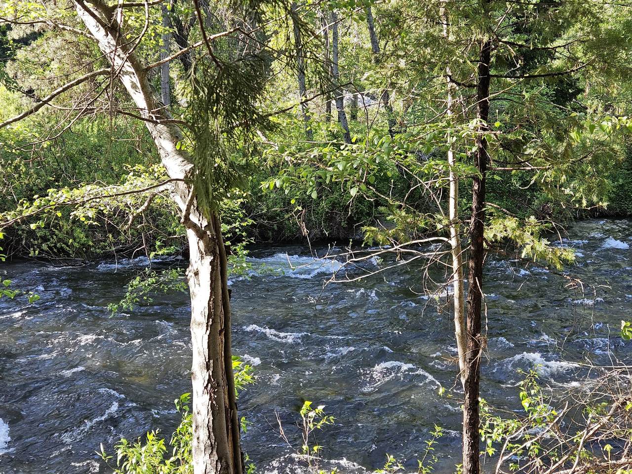  First Street - Photo 1