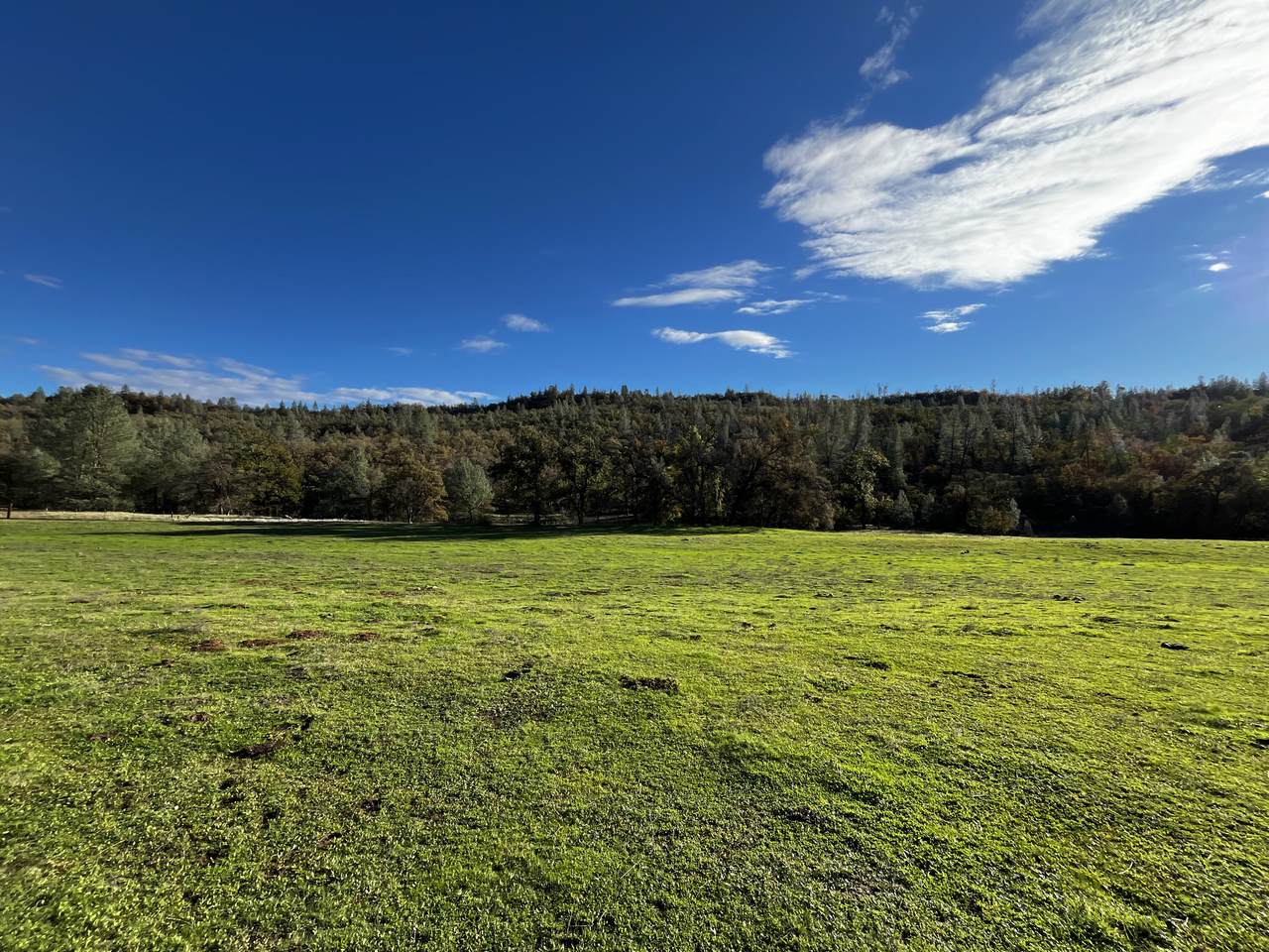 0000 Whitmore Road - Photo 1