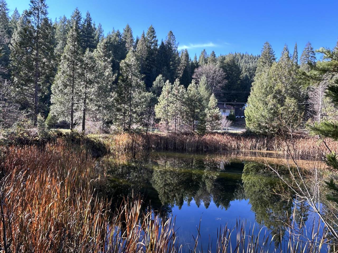 151 Guy Covington Drive - Photo 1