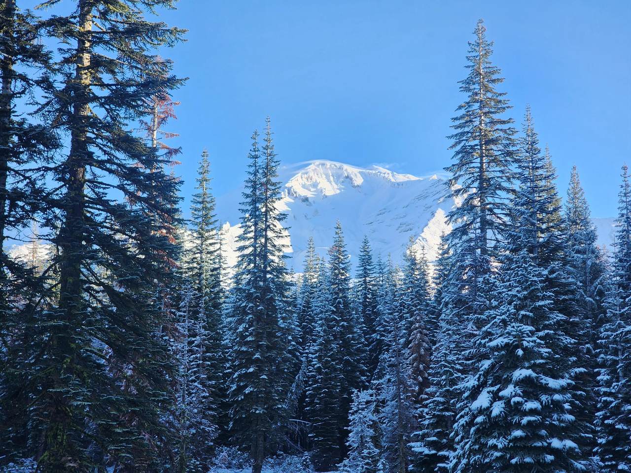  Everitt Memorial Highway - Photo 1