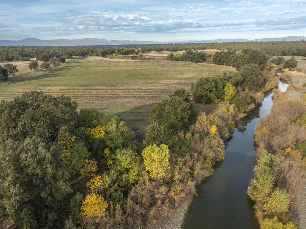 17720 Bowman Road - Photo 1