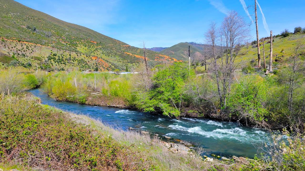 000 Trinity Mountain Road - Photo 1
