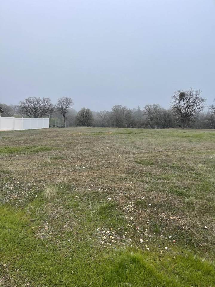 21915 Hayfork Place - Photo 1