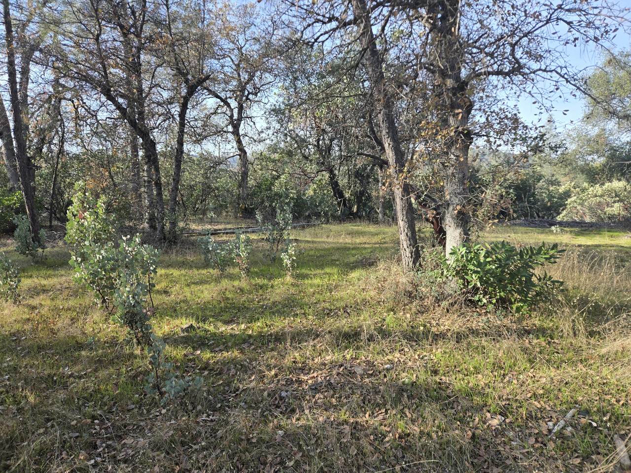  Lake Boulevard - Photo 1