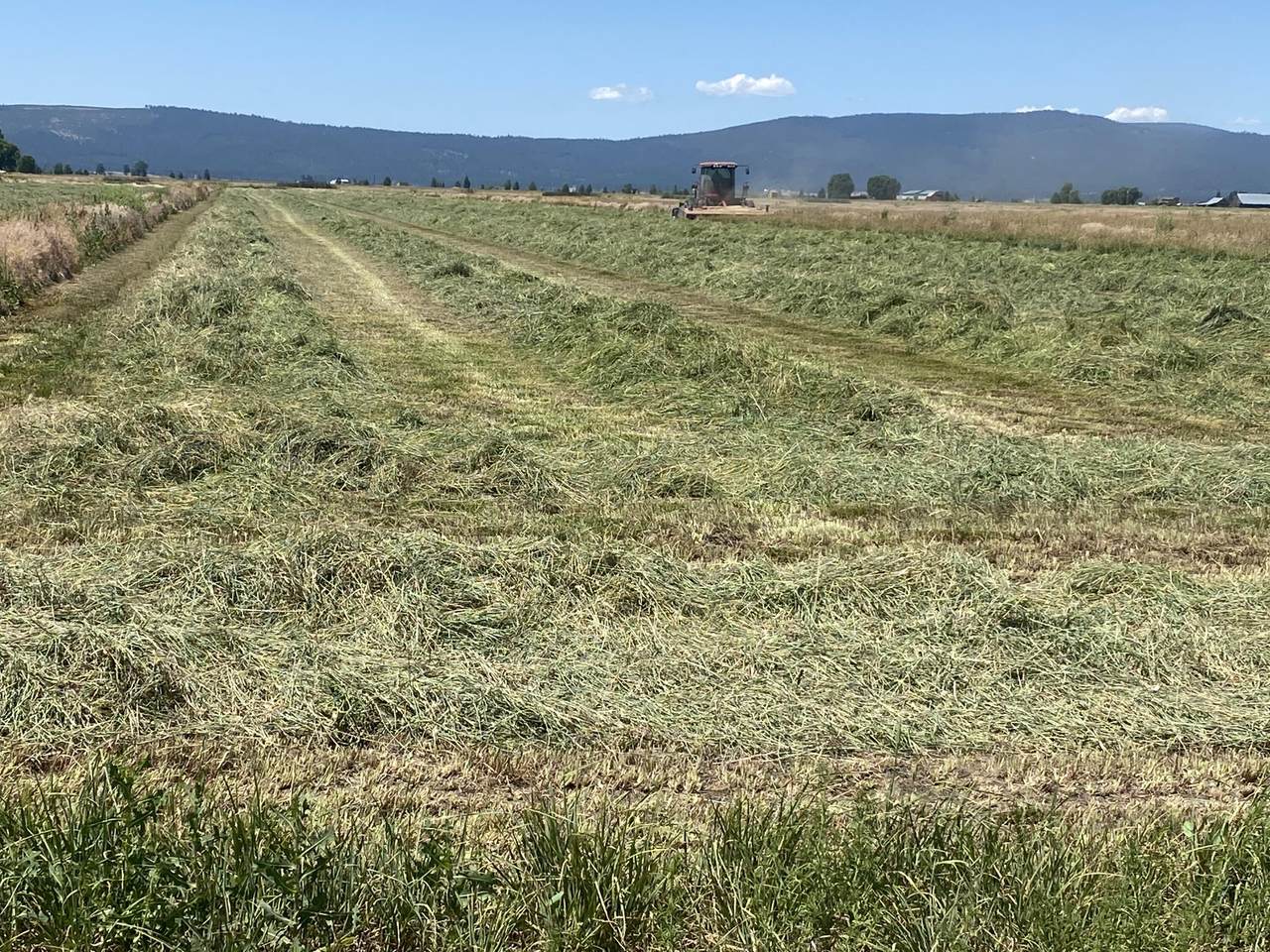 553-185 Punkin Center Road - Photo 1