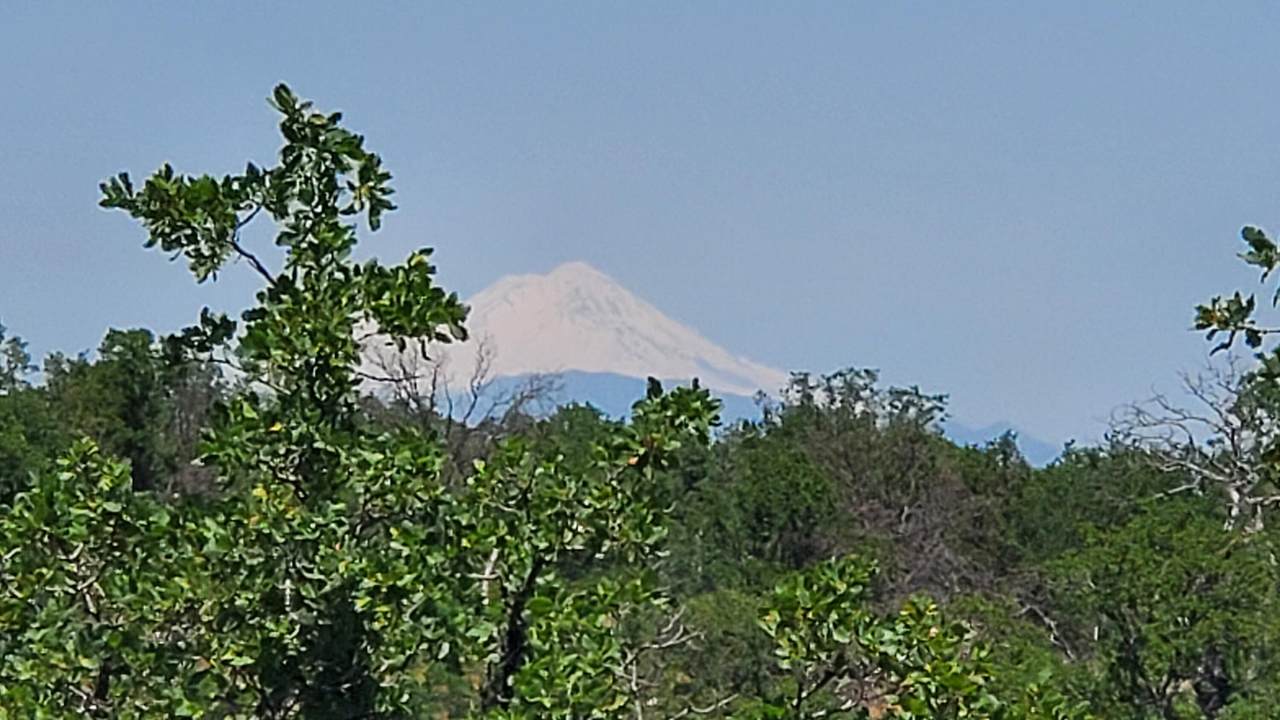  Garrison Road - Photo 1