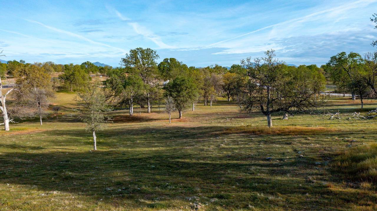 1090 Gibralter Road - Photo 1