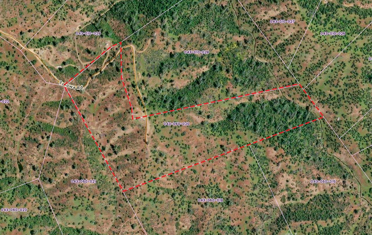 233 Tolowa Road - Photo 1