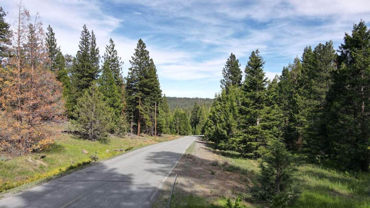 0 California Pines Boulevard - Photo 1