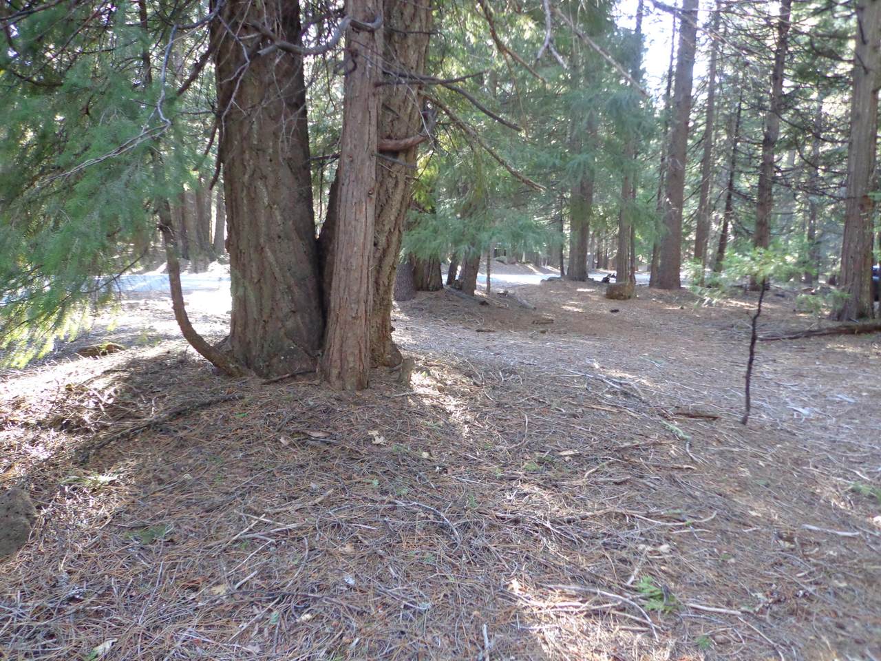 https://bt-photos.global.ssl.fastly.net/shasta/1280_boomver_1_25-751-2.jpg