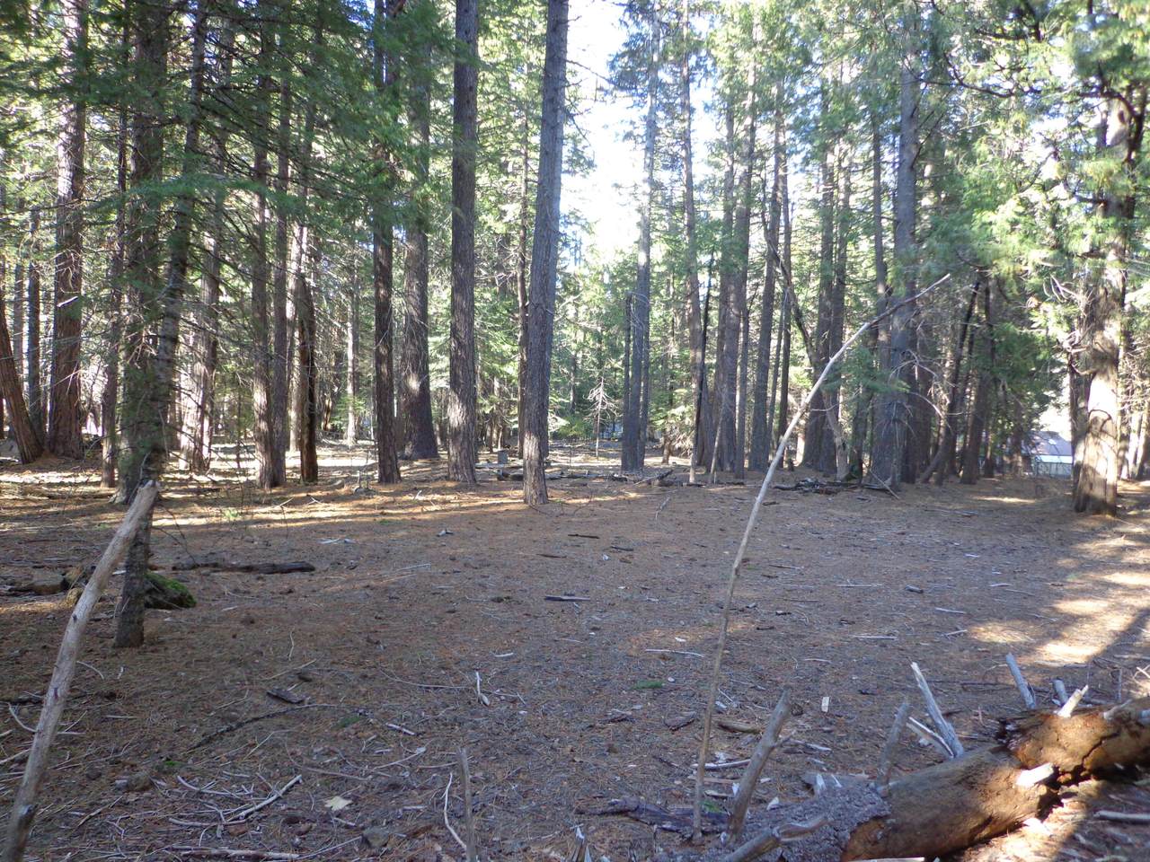 https://bt-photos.global.ssl.fastly.net/shasta/1280_boomver_1_25-751-2.jpg