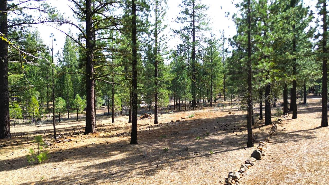 42451 Blue Heron Circle - Photo 1