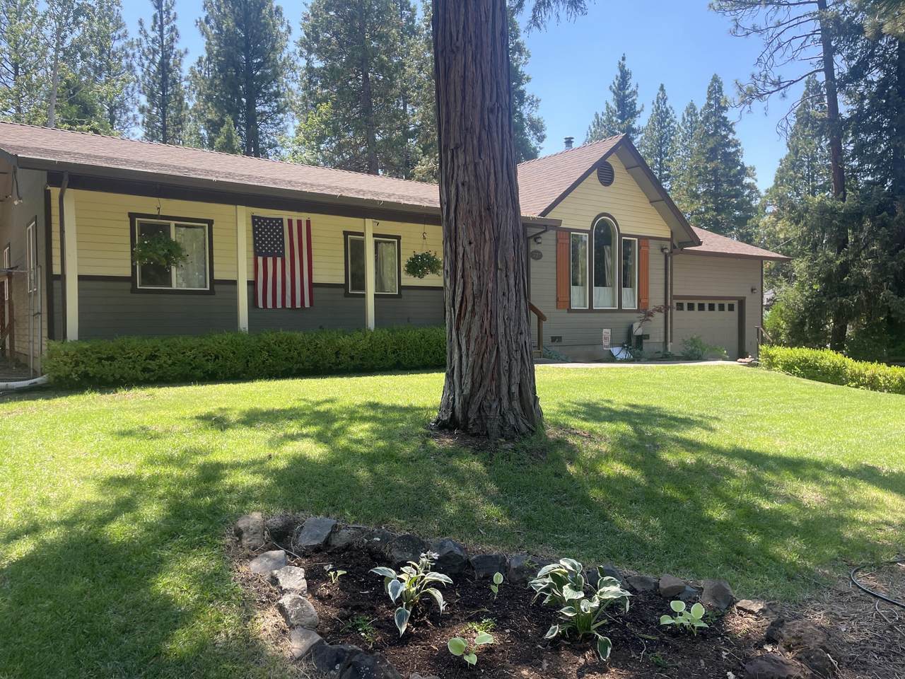 37217 Park Avenue - Photo 1