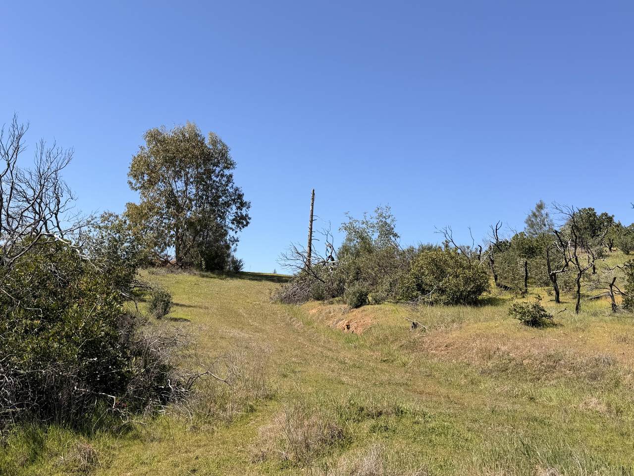 https://bt-photos.global.ssl.fastly.net/shasta/1280_boomver_1_26-1068-2.jpg