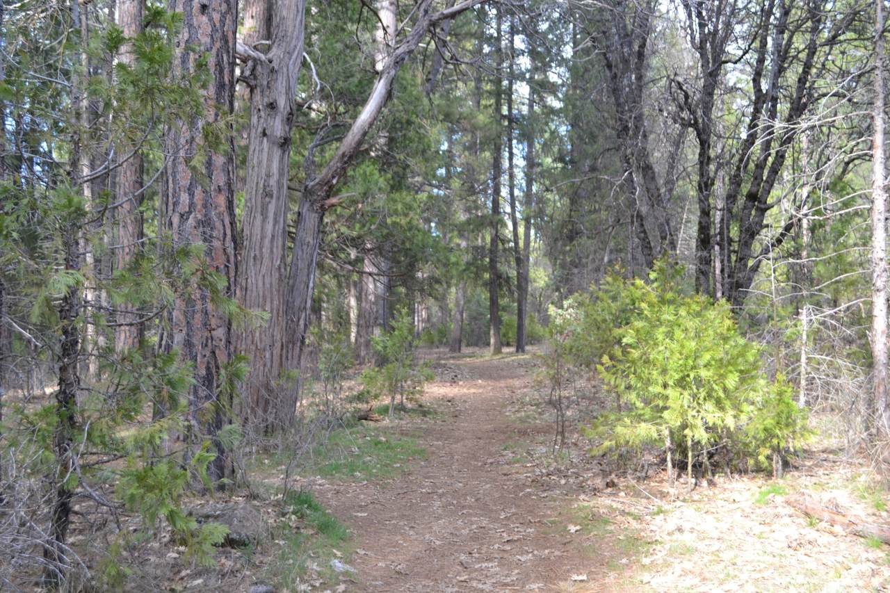 https://bt-photos.global.ssl.fastly.net/shasta/1280_boomver_1_26-1078-2.jpg