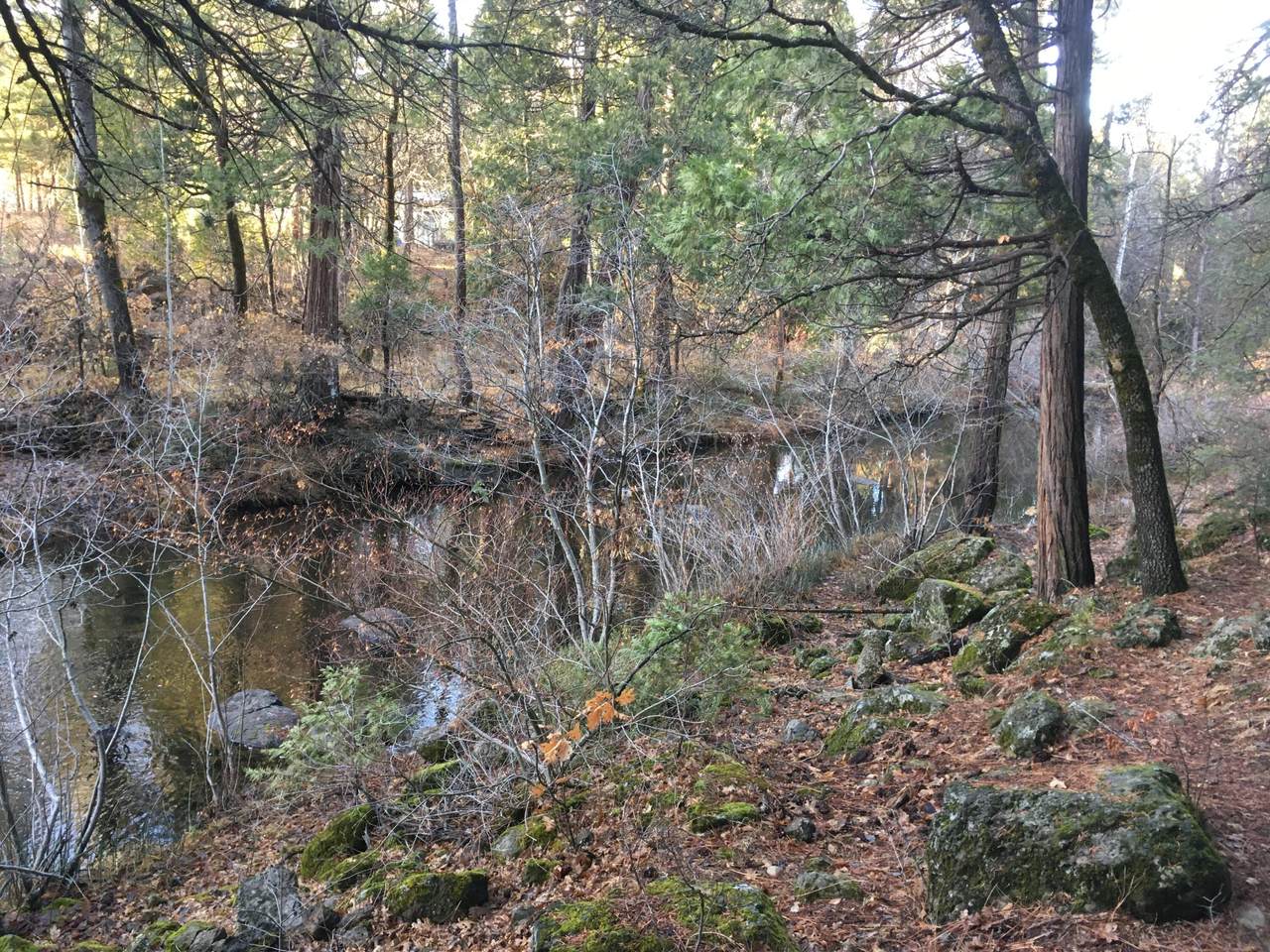 https://bt-photos.global.ssl.fastly.net/shasta/1280_boomver_1_26-1078-2.jpg