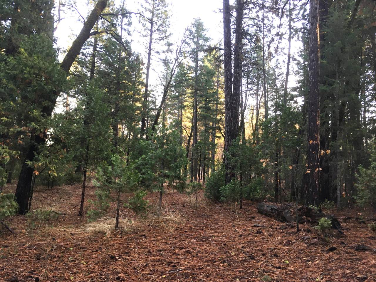 https://bt-photos.global.ssl.fastly.net/shasta/1280_boomver_1_26-1078-2.jpg