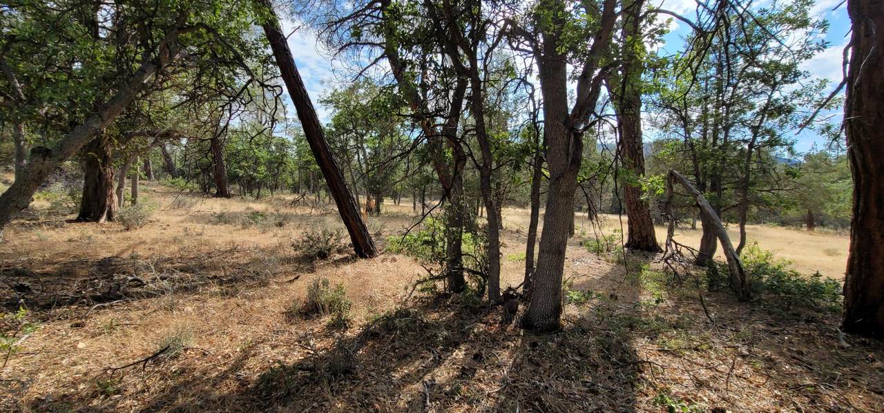  Lot 32 Shoshoni Loop - Photo 1