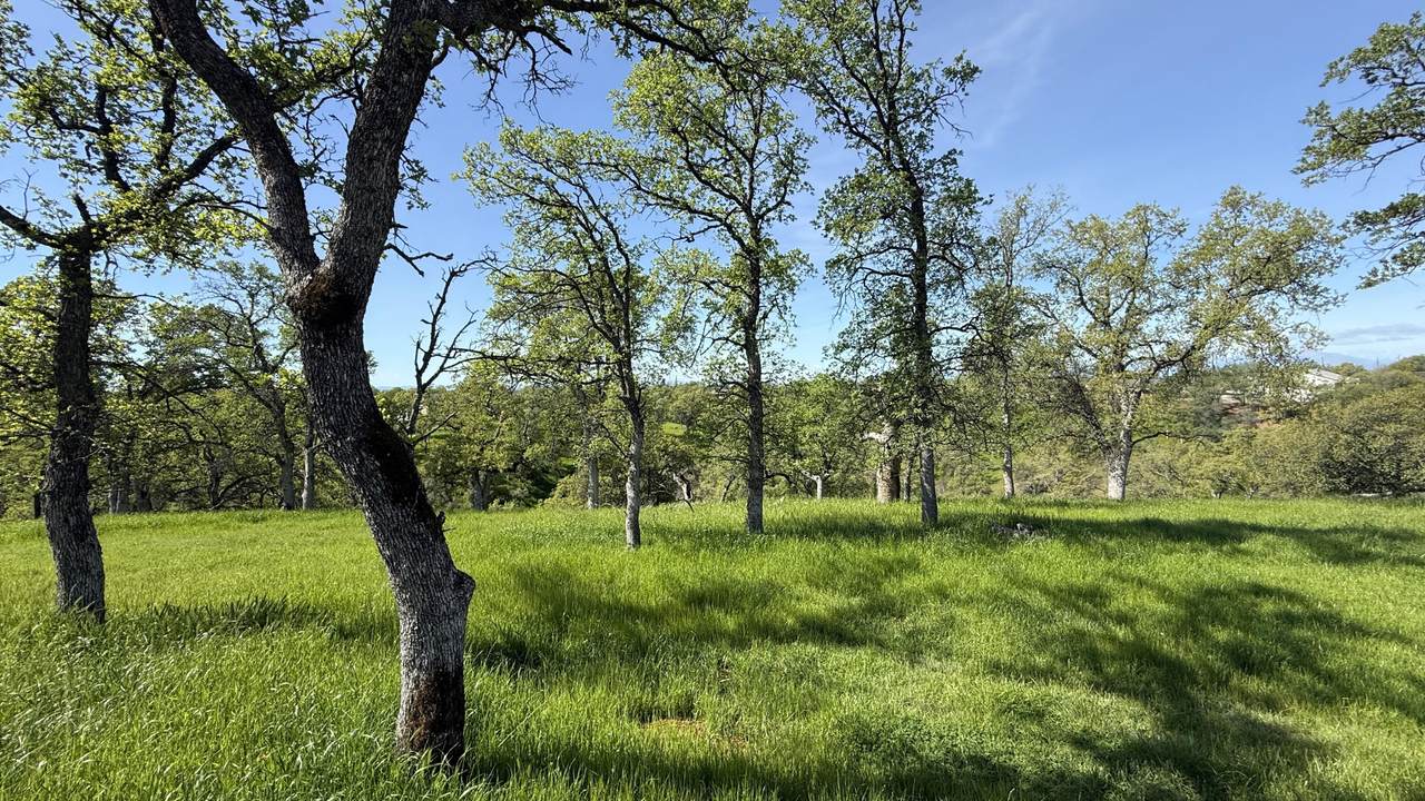 19816 Tedrock Mountain Place - Photo 1