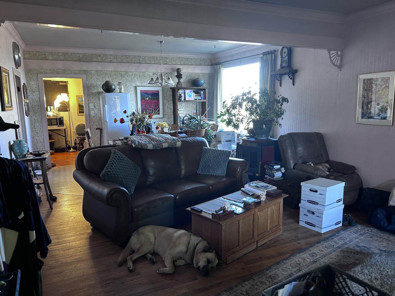 https://bt-photos.global.ssl.fastly.net/shasta/1280_boomver_1_26-1167-2.jpg