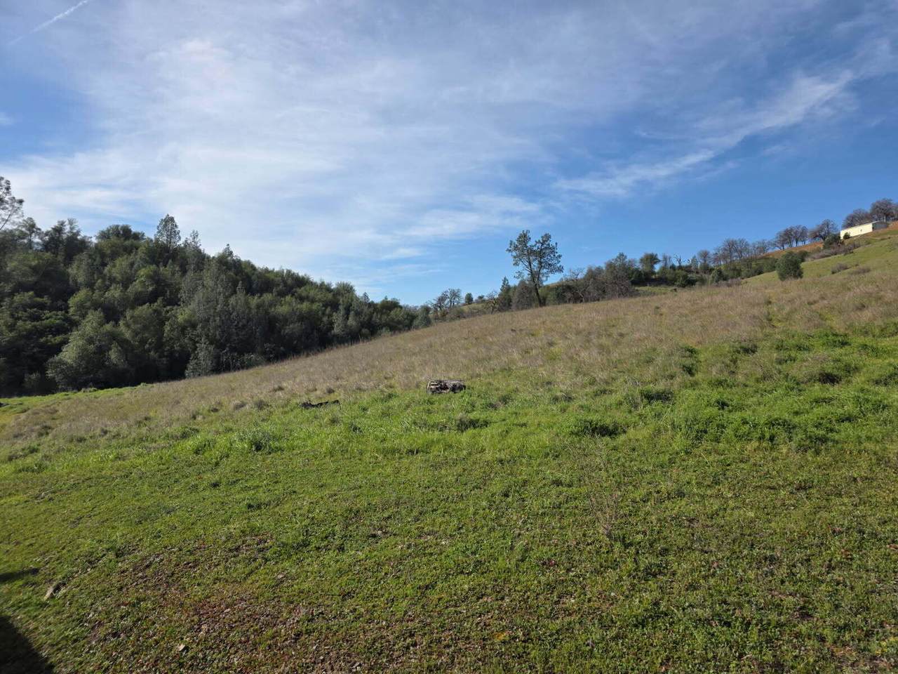 https://bt-photos.global.ssl.fastly.net/shasta/1280_boomver_1_26-1217-2.jpg