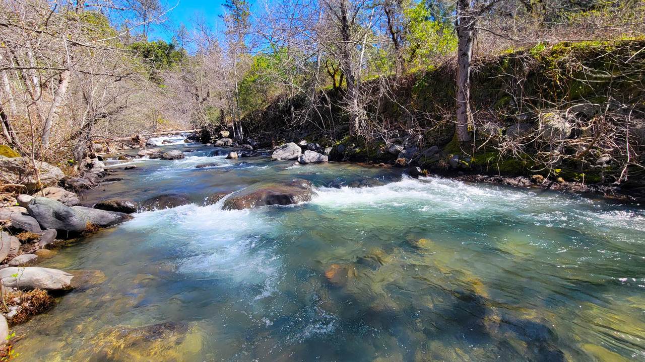 000 Jacey's Tract Road - Photo 1