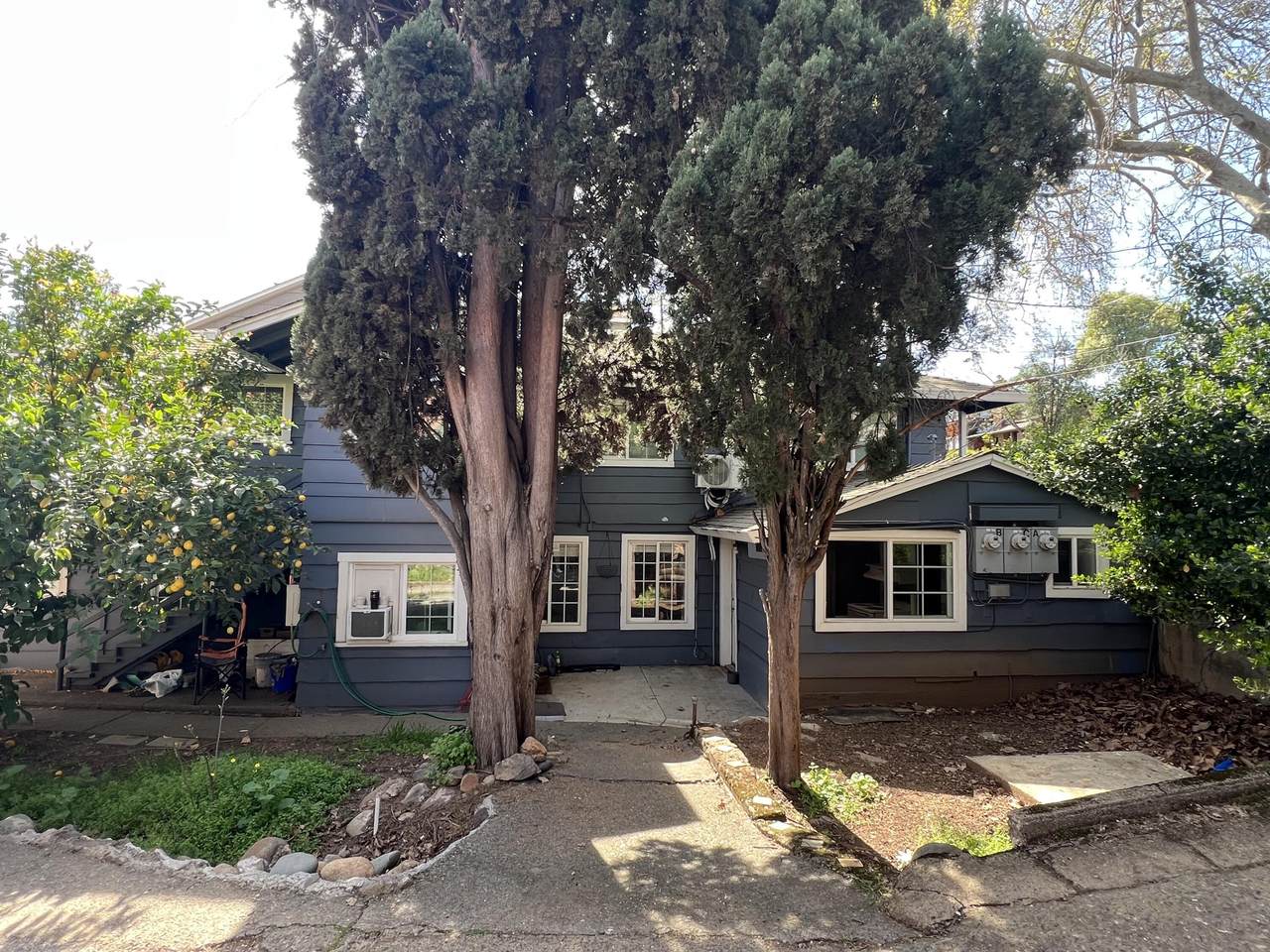 1129 Magnolia Avenue - Photo 1