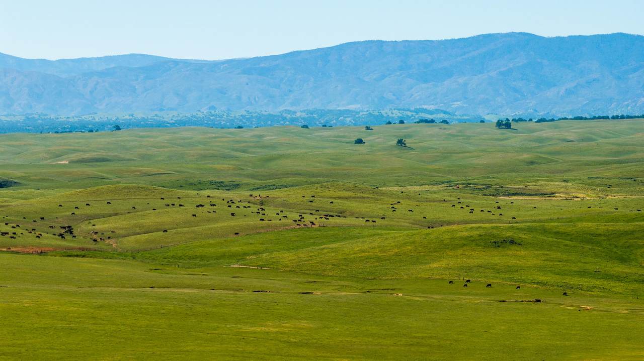  Rancho Tehama Road - Photo 1