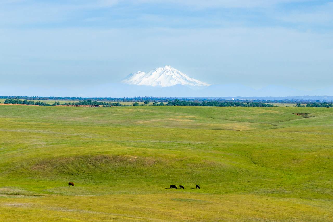 https://bt-photos.global.ssl.fastly.net/shasta/1280_boomver_1_26-1340-2.jpg