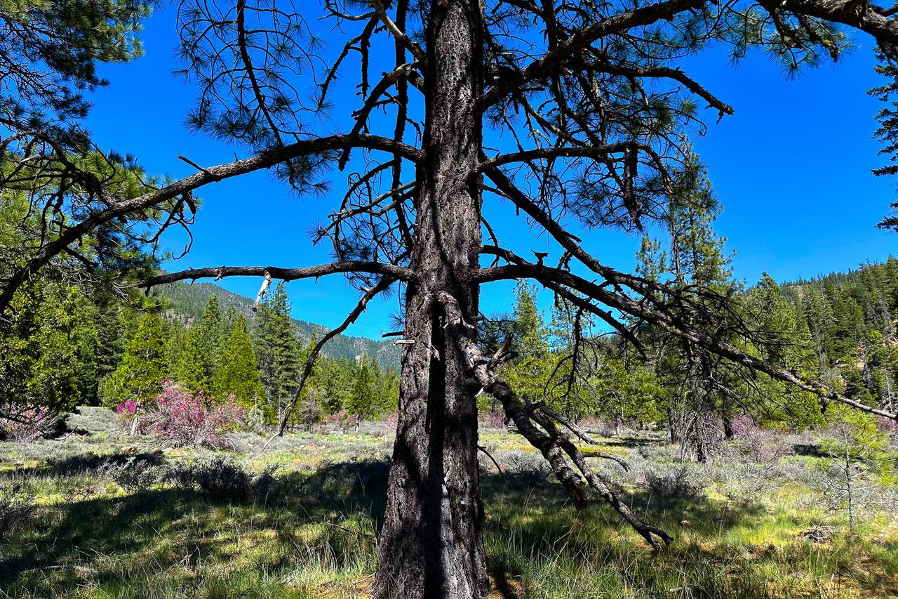 https://bt-photos.global.ssl.fastly.net/shasta/1280_boomver_1_26-1352-2.jpg