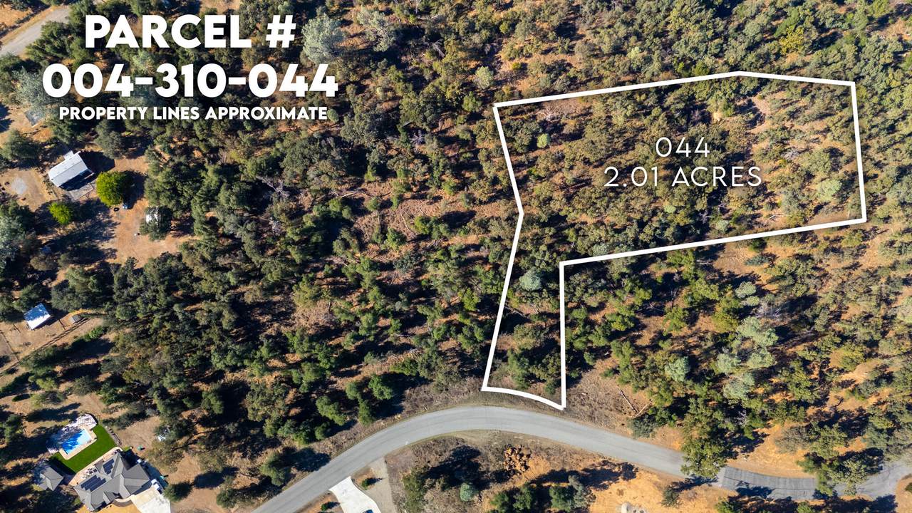 000 Lahalah Way - Photo 1