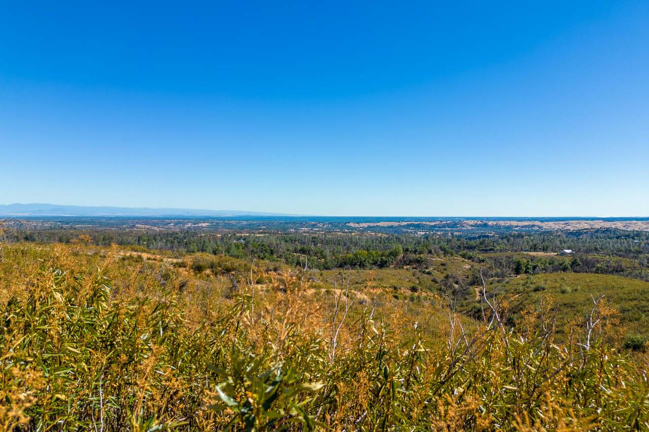 116 Acres 041-300-024 - Photo 1