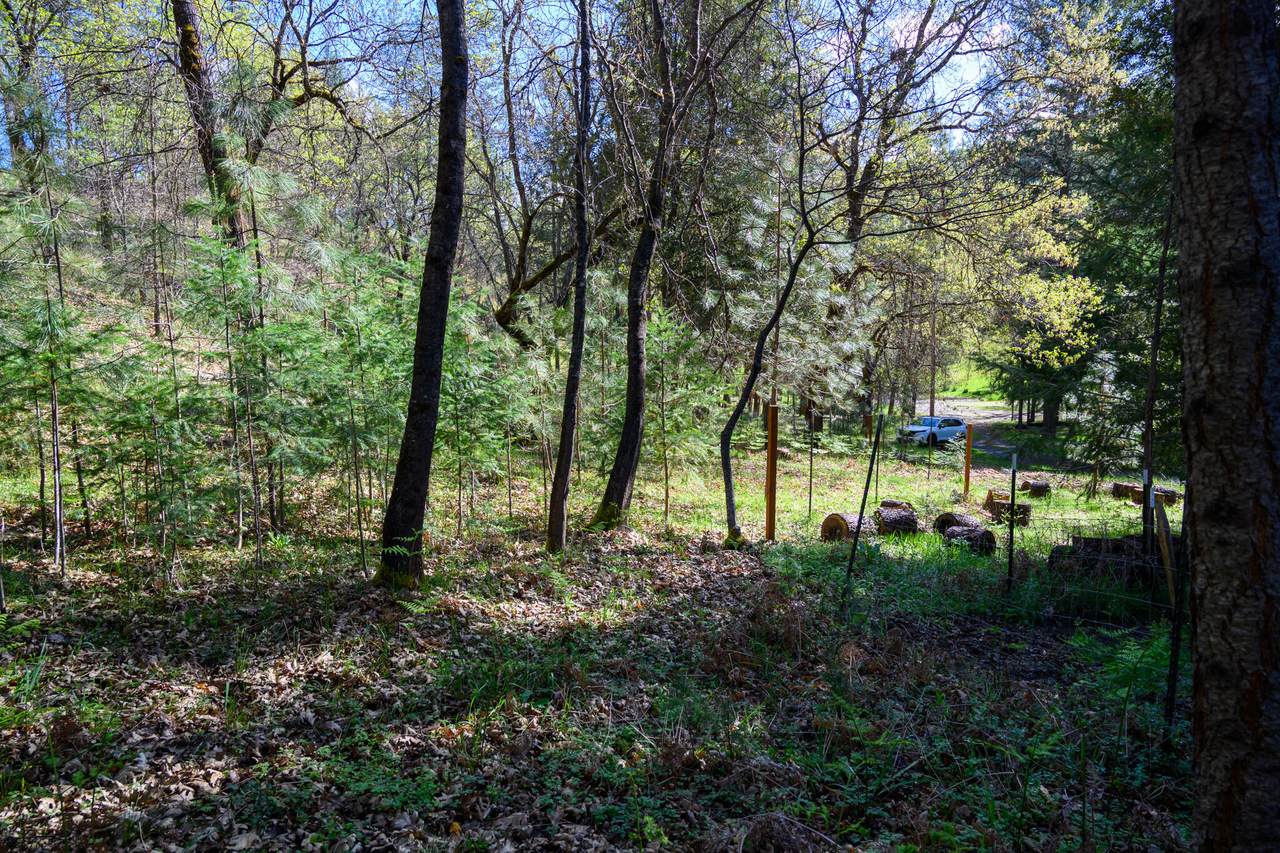 90 Hillcrest Drive - Photo 1
