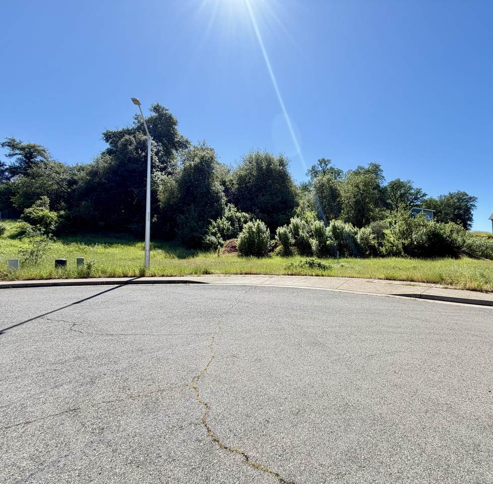 0.34- acre Yellow Finch Way - Photo 1