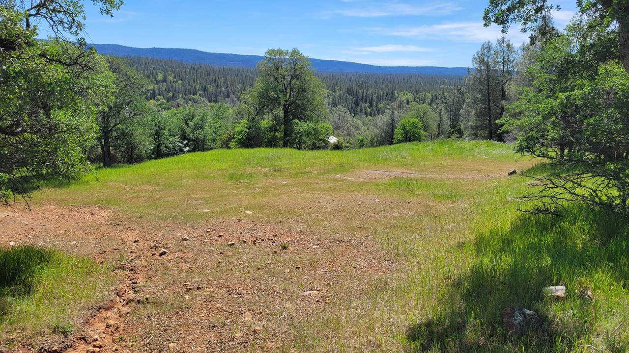 000 Off Miller Mountain Road - Photo 1